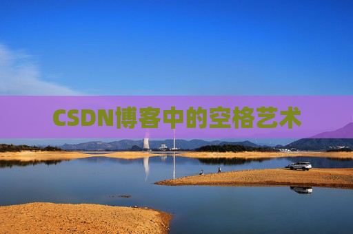 CSDN博客中的空格艺术